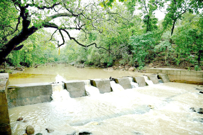 जल शक्ति अभियान: ‘नारी शक्ति से जल शक्ति’ थीम के साथ चलेगा जिले में जल संरक्षण के लिए जागरूकता अभियान