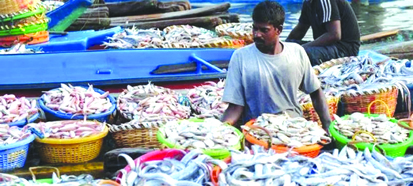 ड्रोन के जरिए पहुंचाई जाएगी दुर्गम इलाकों में मछली : केंद्र