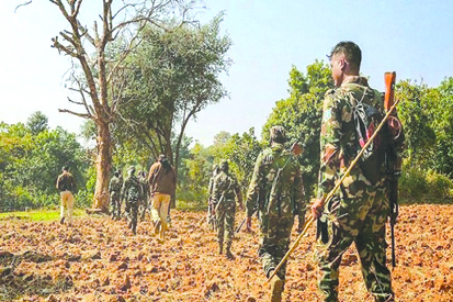 छत्तीसगढ़-तेलंगाना सीमा पर सुरक्षा बलों की बड़ी कार्रवाई, मुठभेड़ में तीन नक्सली ढेर