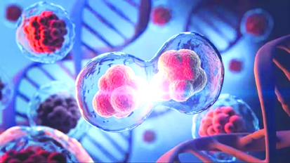 शोधकर्ताओं को बड़ी सफलता, कैंसर से लड़ने और स्वस्थ कोशिकाओं को सुरक्षित रखने के लिए विकसित की नई थेरेपी